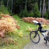 1310F 136 Oberstdorf-Kulmbach